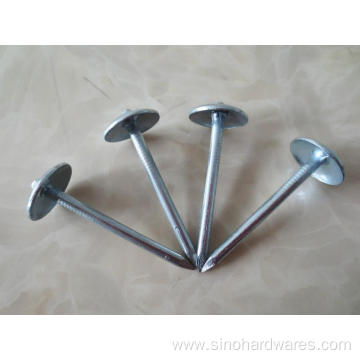 Smooth Umbrella Head Roofing Nail